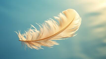 A delicate feather floating on a gentle breeze. - obrazy, fototapety, plakaty