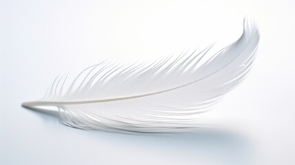 A detailed macro shot of a water droplet resting on a delicate feather, set against a white background.
