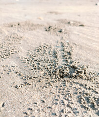 close up of  beach sand