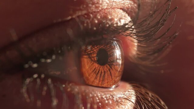 Brown female eye open close up. Long lashes closeup. Girl see sun light. Woman care vision health. Human eyes macro view. Young adult person check eyesight. Eyeball treatment concept. Oculist checkup.