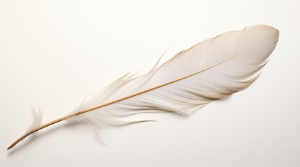 A feather with a unique split in its vane, adding character, set against a pristine white canvas.
