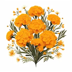 Fotobehang Marigold bouquet isolated on white background. illustration. © Alex