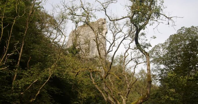 Shot of Ilam rock through trees at dovedale