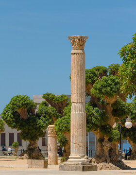 Cherchell, Algeria  : Main square of Cherchell, Algeria, the Martyr's Square also called Roman Square. Roman column, beautiful green trees and blue sky.