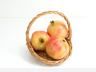 Fruit basket of information fruit pomegranate