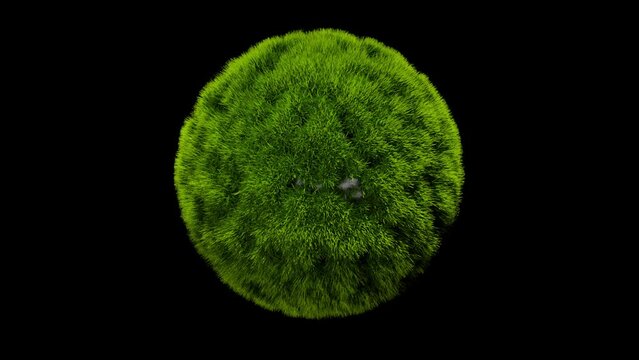 Grass sphere. Computer generated 3d render