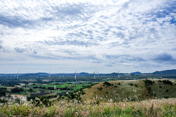 The beautiful silver grass and autumnal blue sky.