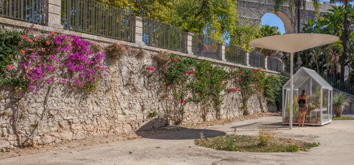 Botanical Garden of the University of Coimbra, Portugal
