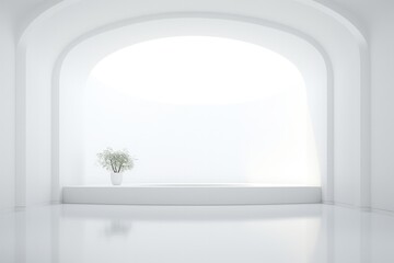 green plant in minimal white indoor interior space lit with light