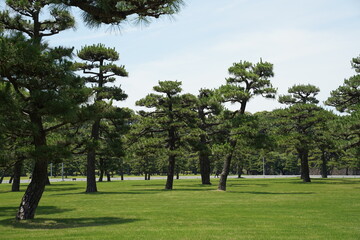 Chiyoda City Park in Tokyo, Japan