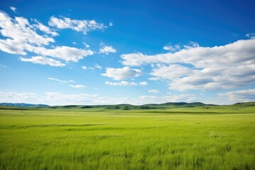 Fototapeta na wymiar a serene prairie with endless grassland