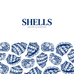 Shell. Hand drawn seashells. Engraving on a marine theme. Vector illustration of tropical, beach shells. For design of cards, banners, backgrounds