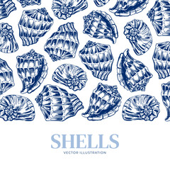 Shell. Hand drawn seashells. Engraving on a marine theme. Vector illustration of tropical, beach shells. For design of cards, banners, backgrounds