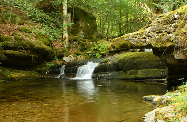 Bosque de hayas y cascadas en la rioja