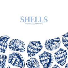 Shell. Hand drawn seashells. Engraving on a marine theme. Vector illustration of tropical, beach shells. For design of cards, banners, backgrounds