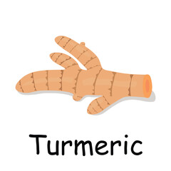 Turmeric illustration flat vector. Vegetables flashcard. Element for kitchen, cooking, super market, healthy lifestyle concept.
