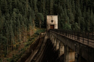 Dam situated in a lush forest landscape in Glen Affric, Scotland