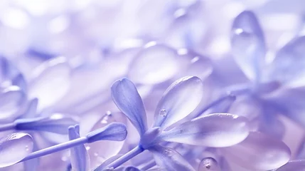 Fototapeten Extreme close-up of delicate flower petals, soft lavender purples and understated lavender blues, in the style of botanical photography © Yasin Arts