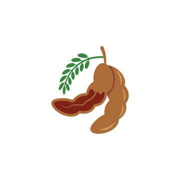brown tamarind fruit with green leaves clip art preview