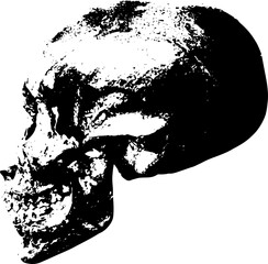 Vintage skull engraving illustration side view
