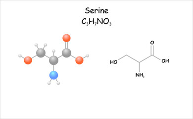 Stylized molecule model/structural formula of serine. Silk production byprodukt.