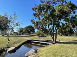 とても天気の良い日
