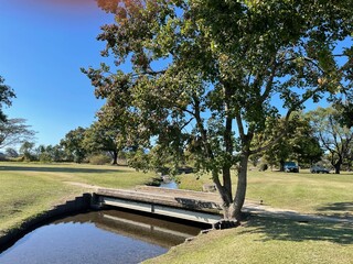 とても天気の良い日