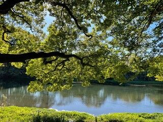 とても天気の良い日