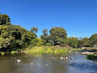 とても天気の良い日