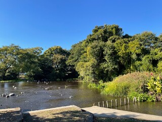 とても天気の良い日