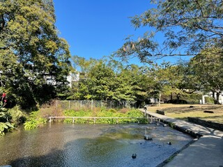 とても天気の良い日