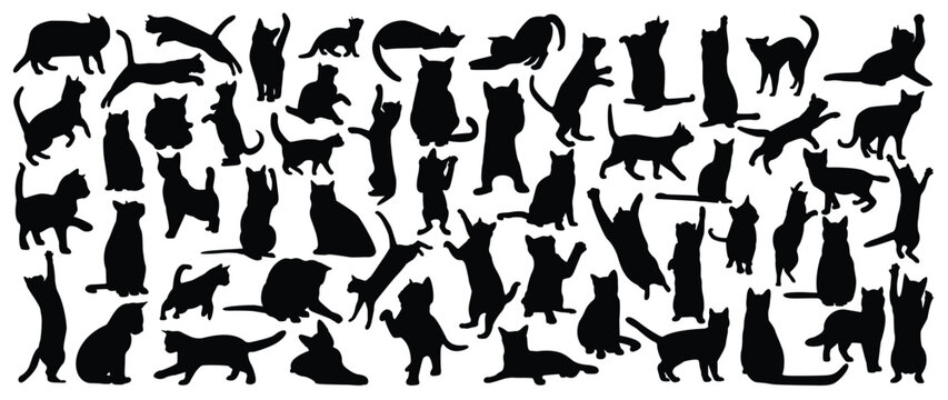 Set of cats silhouette vector. Cats and kitten different breed, poses, sitting, standing, jump, sleep, playing, walking. Hand drawn pet animals for pet shop, logo design, decorative, sticker.