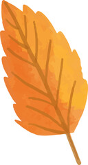Watercolor Hand draw autumn leaves - 670470946