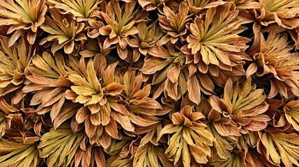 Obraz premium Background and texture patterns