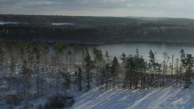 Aerial View Treetops Covered in Snow Calm Surface of Lake in Forest Winter Day. Flying Above Stunning Snowy Pine Forest on Beautiful Quiet Winter Lake. Flying Over Fresh Snow Covered Winter Landscape.