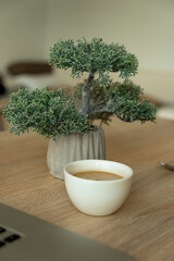 Cup of coffee on a wooden surface against a bonsai background