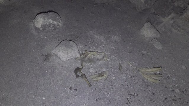 Limestone quarry (stone sawing), which is 200 years old. Underground halls, piles of sawn stones, zigzag corridors, dead ends, niches. Object for spelunking