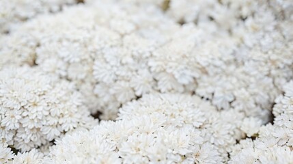 Background and texture patterns