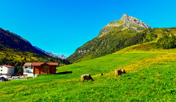 Galt&uuml;r im Paznauntal, Tirol (&Ouml;sterreich)