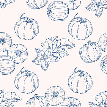 Vector seamless pattern with Pumpkin. Hand drawn textures. Elegant seamless botanical pattern for paper, fabric, wallpaper, surface design