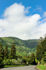 Obraz premium Island of Flores. Island of water. Portuguese Jurassic Park. High waterfall seen from a highway.
