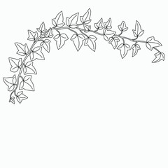 Floral ivy drawing decorative ornament flat design.