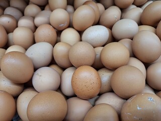 pile of chicken eggs photographed at a high angle