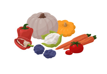 Proper nutrition, healthy food. Organic farm vegetables- cauliflower, bell pepper, tomato, carrot, pumpkin. Vegetarian diet, wholesome eating. Flat isolated vector illustration on white background