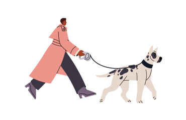 Owner strolls big German dog on leash on street. Woman in coat walk puppy of great dane breed. Pet friendly person, animal sitter go outdoors. Flat isolated vector illustration on white background - obrazy, fototapety, plakaty