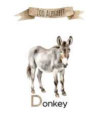 Watercolor Zoo alphabet. D letter donkey animal for children education, home or kindergarten.