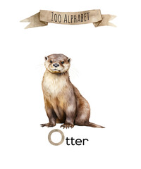 Watercolor Zoo alphabet. O letter otter animal for children education, home or kindergarten.