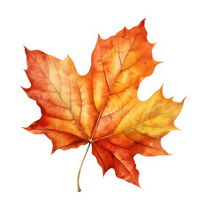 Fototapeta premium watercolor thanksgiving clipart