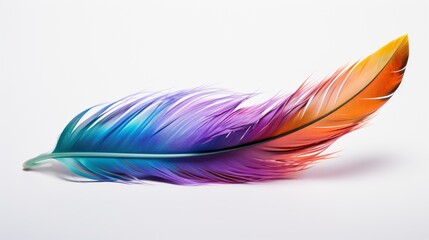 A single, iridescent feather from a mallard duck, reflecting a spectrum of colors against a white backdrop.