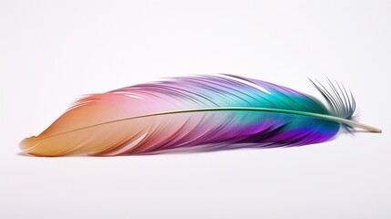 A single, iridescent feather from a mallard duck, reflecting a spectrum of colors against a white...